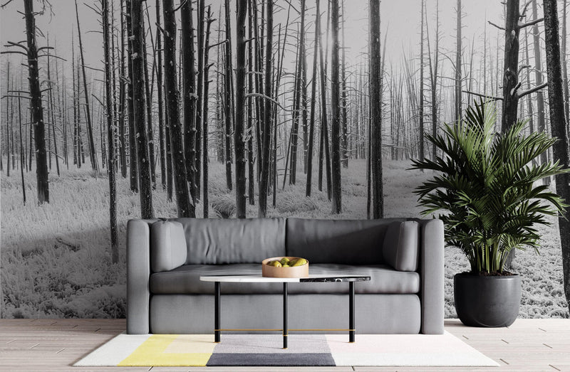 Black and White Forest Landscape Wall Mural. Peel and Stick Wallpaper.