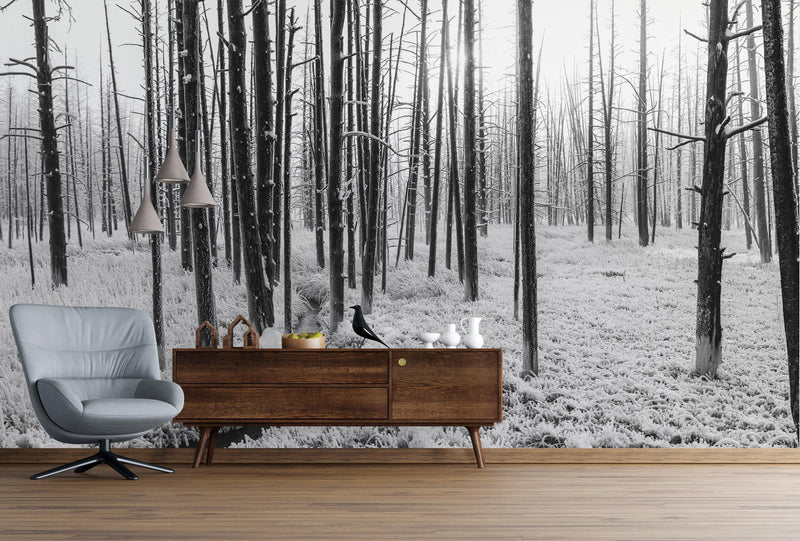 Black and White Forest Landscape Wall Mural. Peel and Stick Wallpaper.