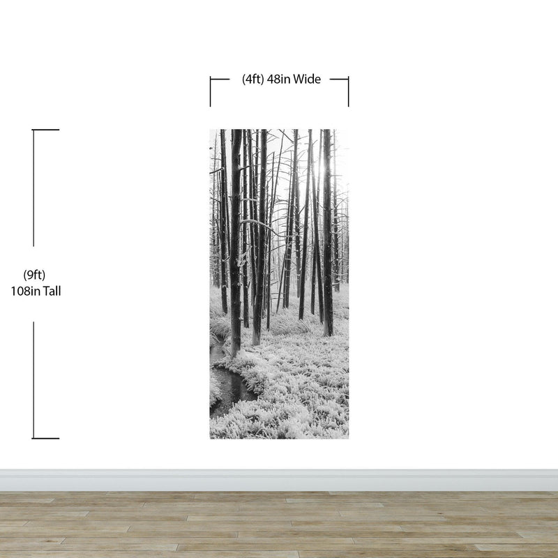 Black and White Forest Landscape Wall Mural. Peel and Stick Wallpaper.