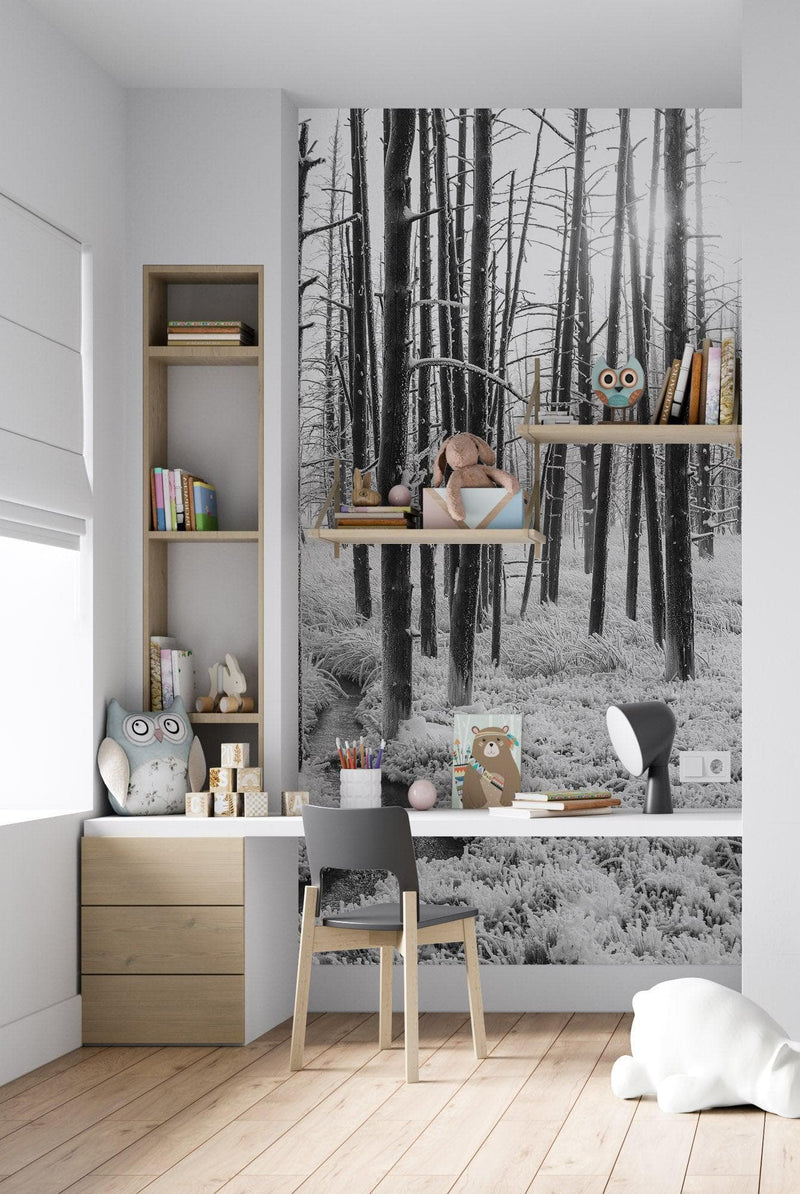 Black and White Forest Landscape Wall Mural. Peel and Stick Wallpaper.