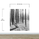 Black and White Forest Landscape Wall Mural. Peel and Stick Wallpaper.