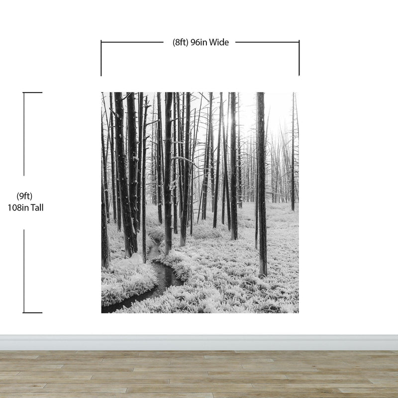 Black and White Forest Landscape Wall Mural. Peel and Stick Wallpaper.