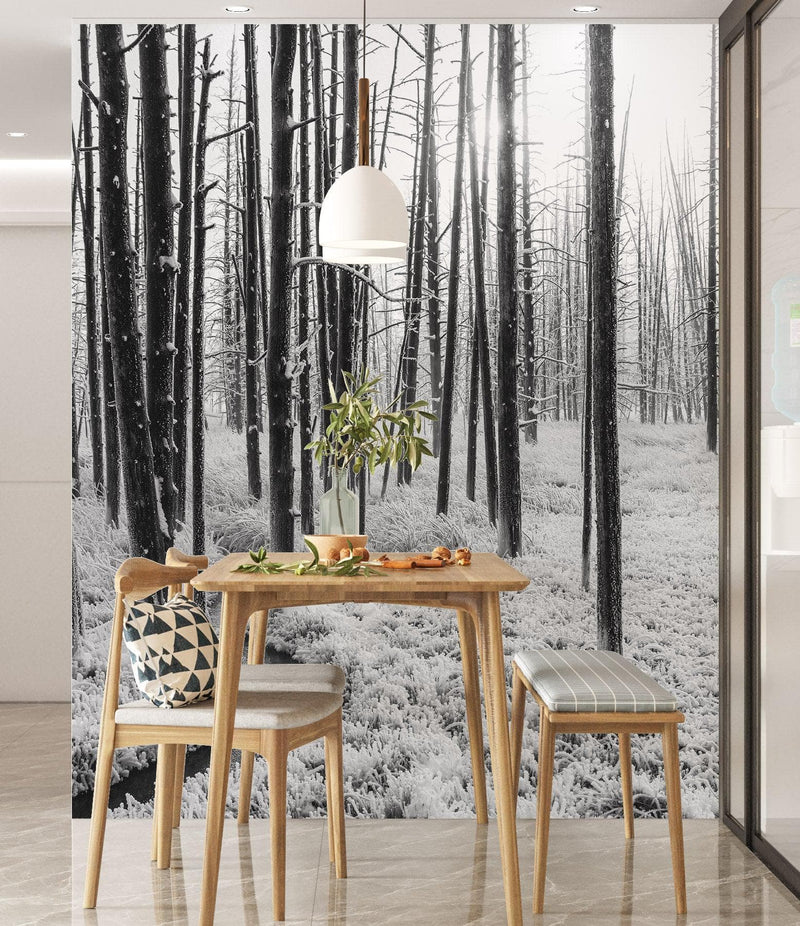 Black and White Forest Landscape Wall Mural. Peel and Stick Wallpaper.