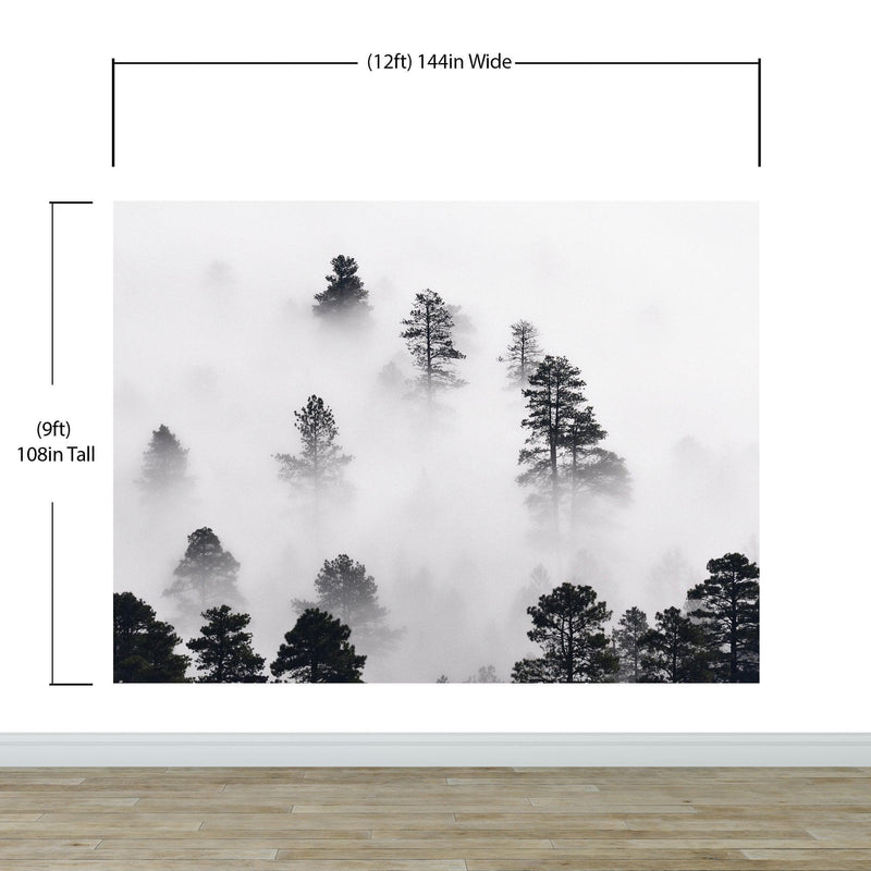 Foggy Forest Wallpaper Black and White Wall Mural.