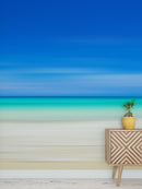 Tropical Beach Wall Mural. Abstract Blur View of Coastline Peel and Stick Wallpaper.