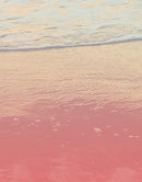 Pastel Color Sunset over the Ocean Horizon Wall Mural. Beach Theme Peel and Stick Wallpaper.