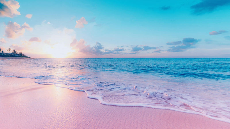 Pastel Color Sunset over Paradise Beach Wall Mural. Pastel Pink and Blue Color Scheme Peel and Stick Wallpaper.