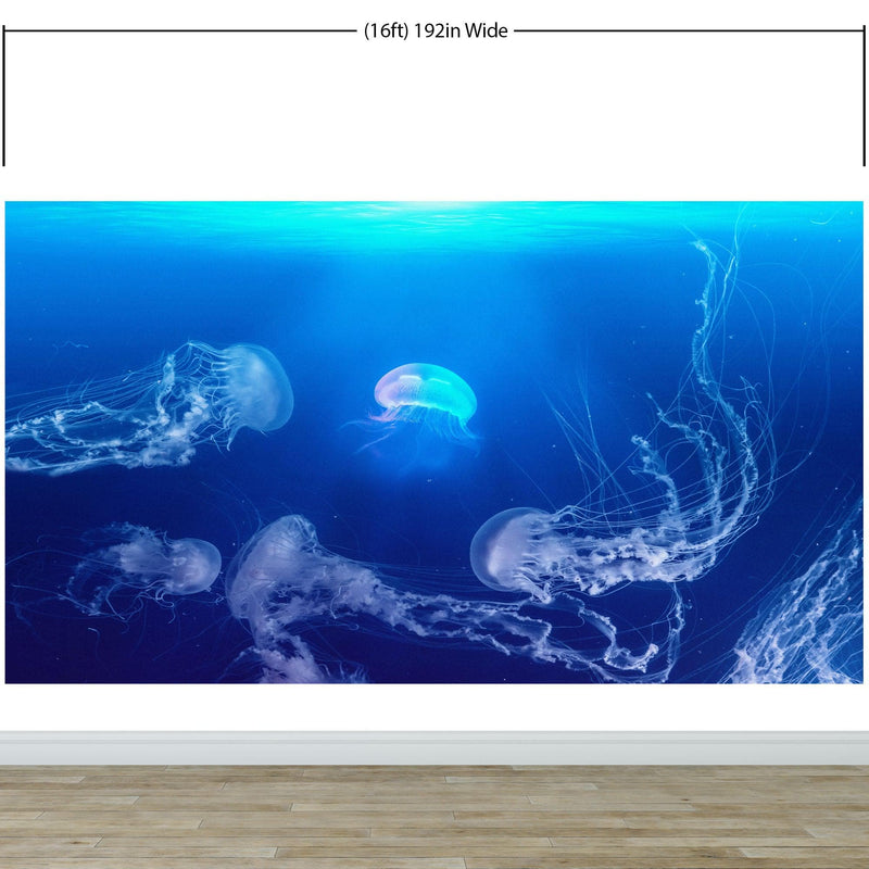 Jellyfish Floating Underwater Wall Mural. Deep Blue Ocean Peel and Stick Wallpaper.