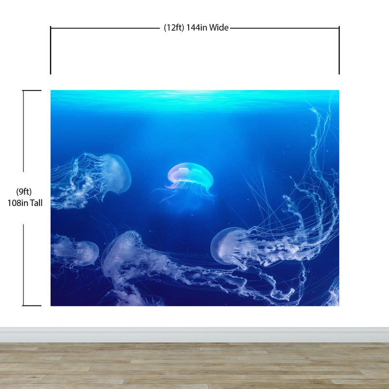 Jellyfish Floating Underwater Wall Mural. Deep Blue Ocean Peel and Stick Wallpaper.