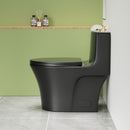 1 Piece Toilet With Dual Flush And Soft Closing Seat by HouseOfZazla
