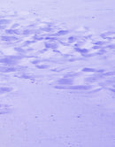 Lifeguard Tower on Pensacola Beach Wall Mural. Pastel Color Theme Peel and Stick Wallpaper.