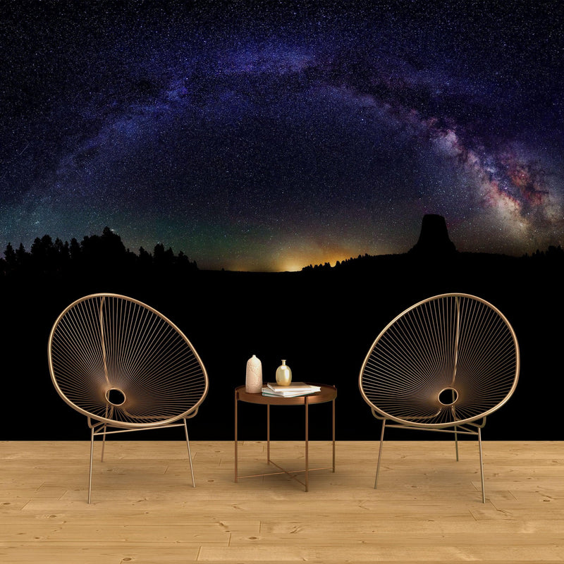 Milky Way Galaxy Stars Wall Mural. Starry Night Over Devils Tower National Monument Park.