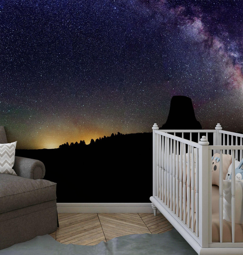 Milky Way Galaxy Stars Wall Mural. Starry Night Over Devils Tower National Monument Park.