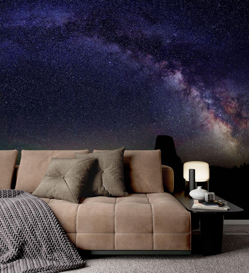 Milky Way Galaxy Stars Wall Mural. Starry Night Over Devils Tower National Monument Park.