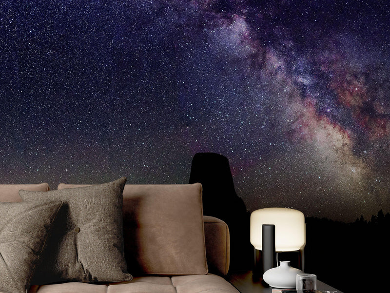 Milky Way Galaxy Stars Wall Mural. Starry Night Over Devils Tower National Monument Park.