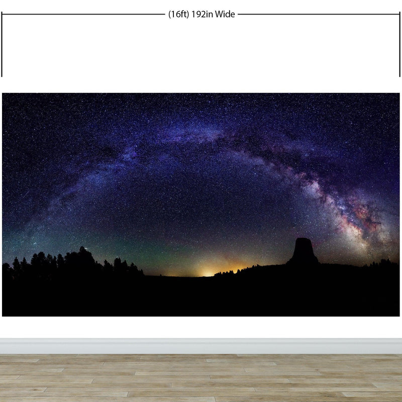 Milky Way Galaxy Stars Wall Mural. Starry Night Over Devils Tower National Monument Park.