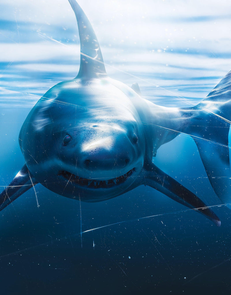 Great White Shark Attack Aquarium Glass Wall Mural. Peel and Stick Wallpaper.