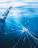 Great White Shark Attack Aquarium Glass Wall Mural. Peel and Stick Wallpaper.