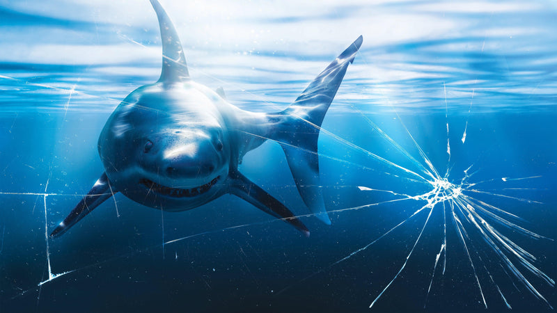 Great White Shark Attack Aquarium Glass Wall Mural. Peel and Stick Wallpaper.