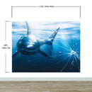 Great White Shark Attack Aquarium Glass Wall Mural. Peel and Stick Wallpaper.