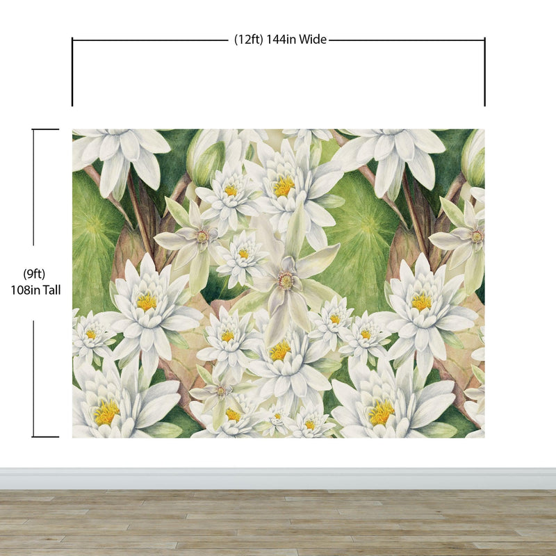 Botanical Flower Wall Mural. Color Pencil Artwork of Flower Garden Peel and Stick Wallpaper. Paradise Botanical Flowers and Leave Black Background.