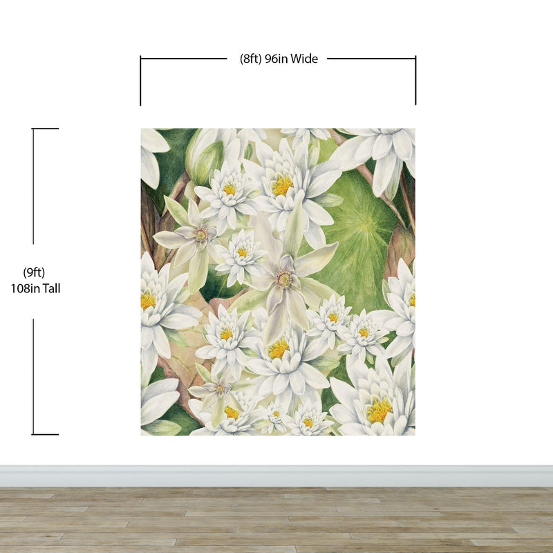 Botanical Flower Wall Mural. Color Pencil Artwork of Flower Garden Peel and Stick Wallpaper. Paradise Botanical Flowers and Leave Black Background.