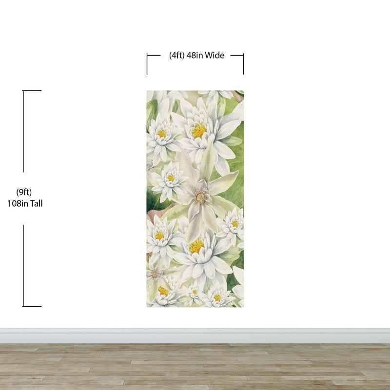 Botanical Flower Wall Mural. Color Pencil Artwork of Flower Garden Peel and Stick Wallpaper. Paradise Botanical Flowers and Leave Black Background.