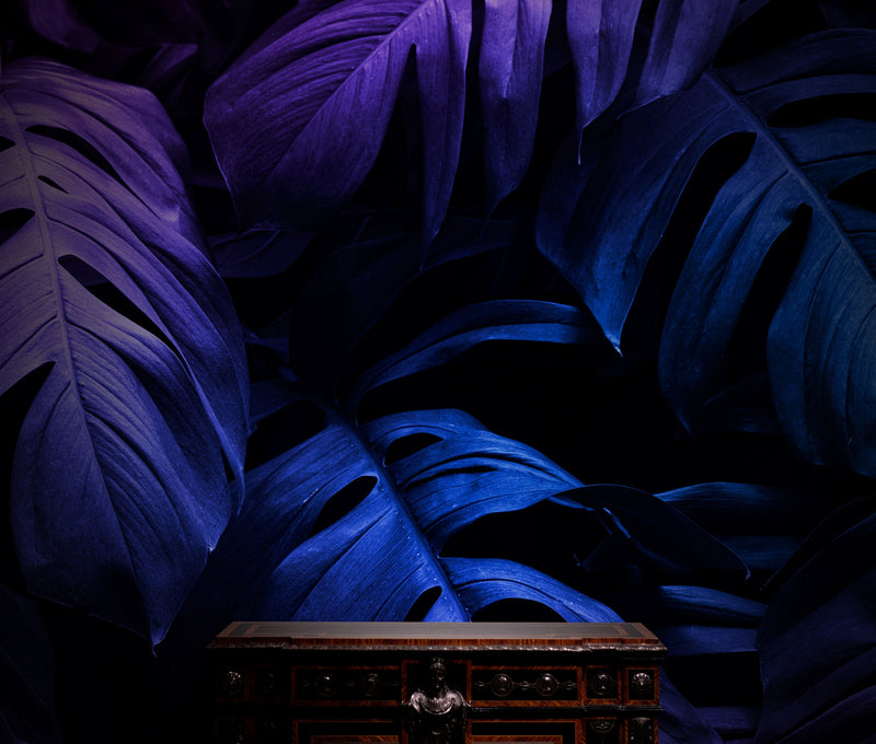 Tropical Wallpaper Blue and Purple Leaf Wall Mural on Dark Background