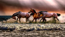 Wild Horses Galloping on Beach Wall Mural. Peel and Stick Wallpaper.
