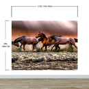 Wild Horses Galloping on Beach Wall Mural. Peel and Stick Wallpaper.