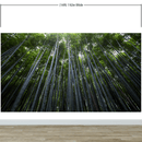 Tall Bamboo Tree Forest Wall Mural. Peaceful, Serenity, Zen Background Wallpaper.
