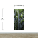 Tall Bamboo Tree Forest Wall Mural. Peaceful, Serenity, Zen Background Wallpaper.