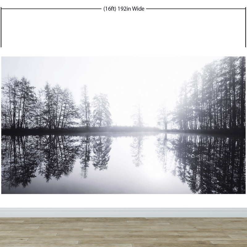 Foggy Woodland Wall Mural. Warm Grey Misty Forest Lakeview Peel and Stick Wallpaper.