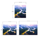 Tropical Rainforest Wall Mural Painting.