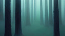 Foggy Forest Wall Mural. Emerald Green Mist Wallpaper.