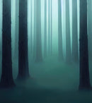 Foggy Forest Wall Mural. Emerald Green Mist Wallpaper.