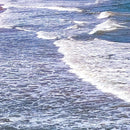 Puerto Rico Beach Wallpaper. Peel and Stick Wall Mural.