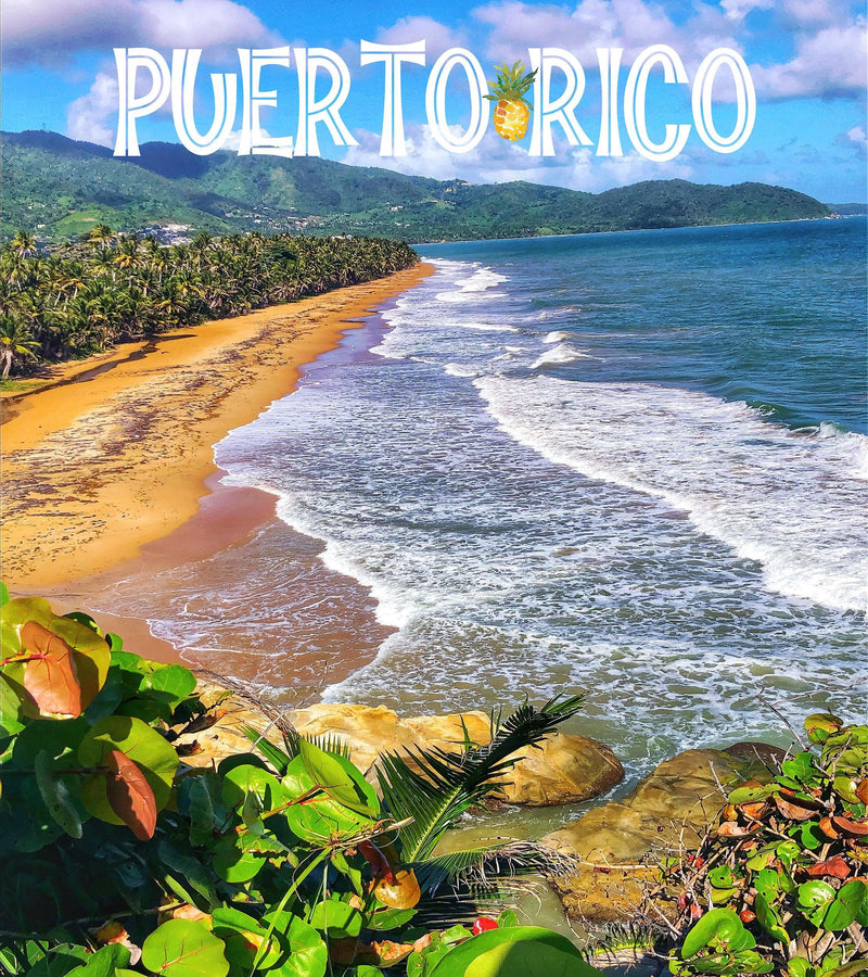 Puerto Rico Beach Wallpaper. Peel and Stick Wall Mural.