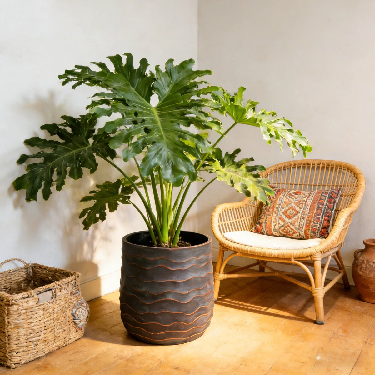 Large Round Planters Set of 2, photo 4 of 10