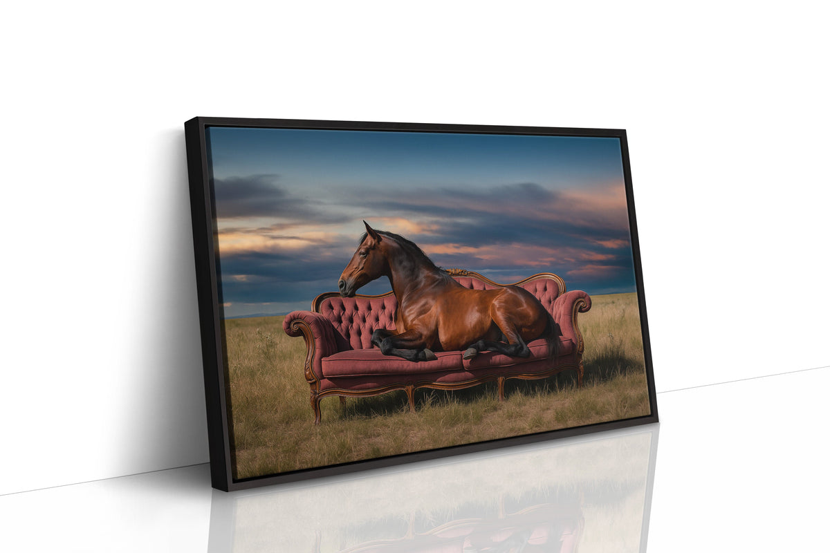 Prairie Nobility, photo 16 of 16