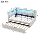 Upholstered Platform Bed With USB Ports And LED Belt by HouseOfZazla