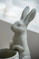 Meridian Trade Co Decorative Cement Rabbit Planter by HouseOfZazla