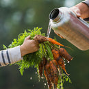 64oz Wide with Loop Cap by Klean Kanteen