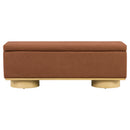 Modern 50" Storage Bench
