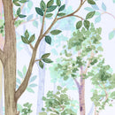 Colorful Nursery Woodland Forest Wallpaper. Watercolor Birch Tree Forest Wall Mural.