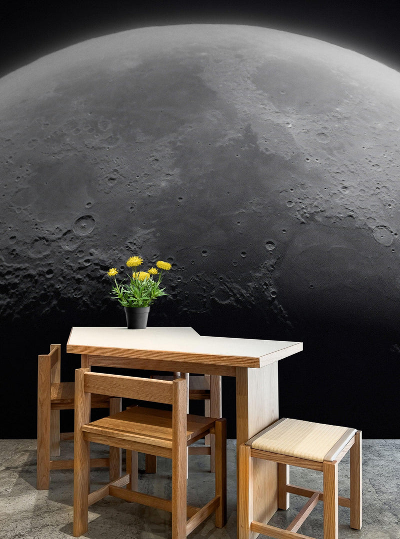 Moon Wallpaper. Black and White Wall Decor.