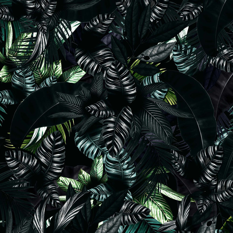 Tropical Leaves In a Dark Jungle Background Wallpaper