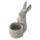 Meridian Trade Co Decorative Cement Rabbit Planter by HouseOfZazla