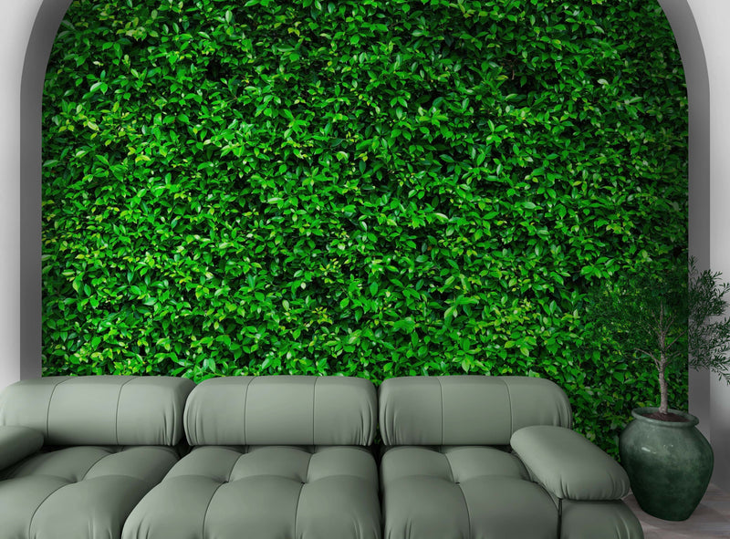 Greenery Grass Background Wallpaper Mural.