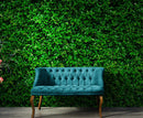 Greenery Grass Background Wallpaper Mural.